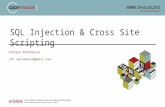SQL Injection & Cross Site Scripting, by Stefano Santomauro
