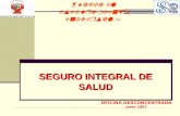 SEGURO INTEGRAL DE SALUD ¡Hacia el Aseguramiento Universal ! OFICINA DESCONCENTRADA Junio 2007.