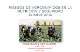 RIESGOS DE AGROQUÍMICOS EN LA NUTRICIÓN Y SEGURIDAD ALIMENTARIA JAVIER EDUARDO CURO YLLACONZA C.N.P. 1555 Licenciado En Nutrición Humana U.N.M.S.M.