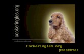 Cockeringles.org presenta:. EL COCKER SPANIEL INGLES.