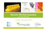 100115 Proyectalis Multiproject Scrum