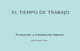 EL TIEMPO DE TRABAJO Formación y orientación laboral Raúl Alguacil Titos.