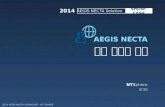 모바일 RPG 게임 시스템 디자인 솔루션 - AEGIS NECTA (이지스 넥타) 쇼케이스, 개발 컨셉과 개요
