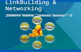 Link Building& Networking