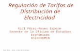 Raúl Pérez – Reyes y Raúl García Carpio Regulación de la Distribución de Electricidad Regulación de Tarifas de Distribución de Electricidad Raúl Pérez–Reyes.