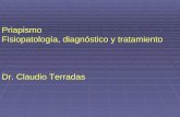 Priapismo Fisiopatología, diagnóstico y tratamiento Dr. Claudio Terradas.