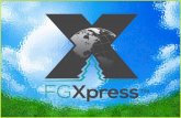 FG Xpress PowerPoint Negocios y Visión general del producto Presentación