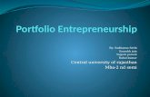 Portfolio entrepreneurship