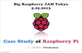 Raspberry Pi "Case" Study (Big Rapberry Pi JAM Tokyo 2013 LT)