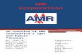 AMR Corporation Overview