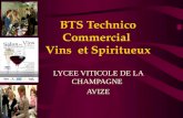 BTS Technico-Commercial en Vins et Spiritueux - Formation Commercial bac+2 du Lycée Viticole de la Champagne