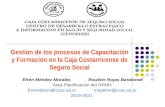 Gestión de los procesos de Capacitación y Formación en la Caja Costarricense de Seguro Social Efrén Méndez MoralesRoubier Rojas Barahona Área Planificación.