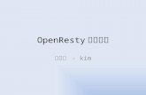 OpenResty Practical Experience