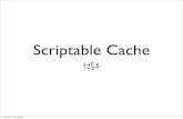 Scriptable cache
