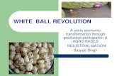 Whiteball revolution