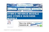 business models and revenue models in the software industry
