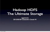 Hadoop HDFS: The Ultimate Storage