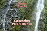 Cascadas en Bucay