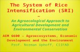 The System of Rice Intensification (SRI) An Agroecological Approach toAgricultural Development and Environmental Conservation