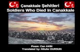 Mr Can Akın - I Love You - Book Of Poetry - 24 - Soldiers Who Died In Canakkale