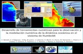 Desarrollo de herramientas numéricas para la observación y la modelación numérica de la dinámica oceánica en el sistema de Humboldt F. Monetti, A. Chaigneau,