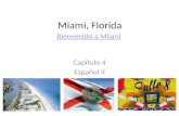 Miami, Florida Capítulo 4 Español II Bienvenido a Miami.