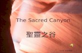 The sacred canyon_guantestsize2