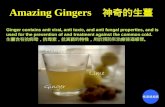 Amazing ginger