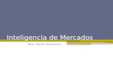 Inteligencia de Mercados Mtro. Martín Echeverría.