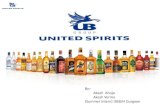 UB Group (Mainly on USL Products)