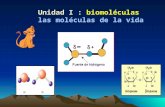 Unidad I : biomoléculas las moléculas de la vida.