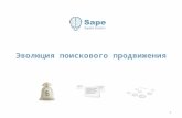 Sape.ru в Ростове-на-Дону
