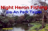 Night Heron Fishing (夜鷺抓魚).