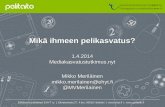 Pelikasvatusen tarve, nykytila ja toteutus 2010-luvun suomessa (Mikko Meriläinen)