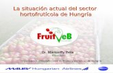 Sector hortofrutícola en Hungría