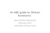 African feminism 101