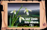 Igor zenin fotoalbum(3)+ani (nx power lite)