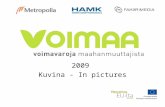 Voimaa 2009 in Pictures