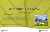 Оverview АР1000 reduced