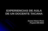 EXPERIENCIAS DE AULA DE UN DOCENTE TACANA Susana Chavez Flores Proyecto EIB AMAZ.