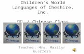 Children’S World Languages Of Cheshire, Inc