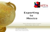 Mexican import requirements