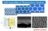 Self assembly in photovoltaic devices