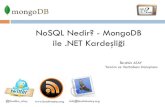 NoSQL Nedir MongoDB ile .NET Kardeşliği
