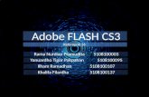 Adobe flash cs3
