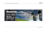 Palestra  IBM-Mack Zvm linux