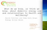 'What do we know, or think we know, about domestic energy use and relationships to health and well-being?: David Fletcher