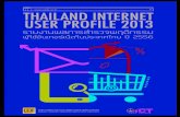 Thailand internet user profile 2013