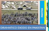 DRAMATICO EXODO EN PAKISTAN PAKISTAN DRAMATICO EXODO EN PAKISTAN DRAMATICO EXODO EN PAKISTAN La gran ofensiva de las tropas del gobierno contra los radicales.