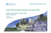 Smart electrical grids challenges and opportunities